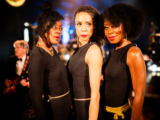 Promo Golddust Party Band Somerset
