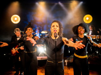 Promo Golddust Party Band Somerset