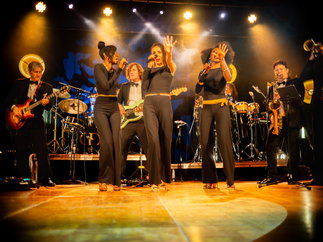 Promo Golddust Party Band Somerset