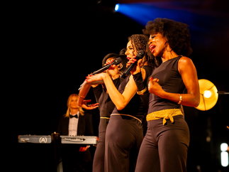 Promo Golddust Party Band Somerset