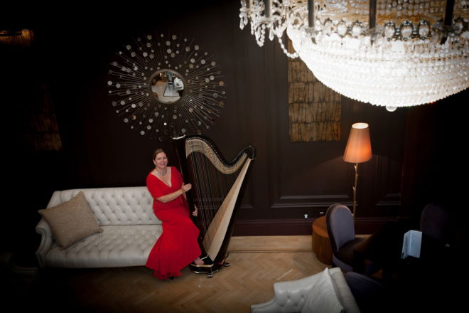 Promo Gold Harp Harpist East Sussex