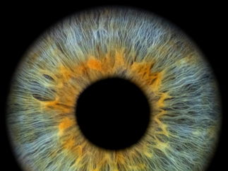 Promo Eye Art Photography Photo Booth London