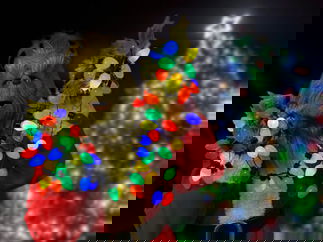 Promo The Grinch Lookalike Grinch Lookalike Lancashire