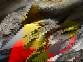 Promo The Grinch Lookalike Grinch Lookalike Lancashire