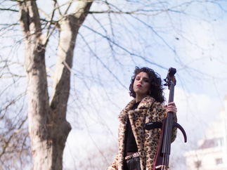 Promo Radiance Strings String Quartet London