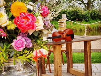 Promo Hampshire String Quartet String Quartet Hampshire