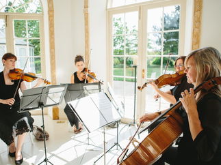 Promo Hampshire String Quartet String Quartet Hampshire