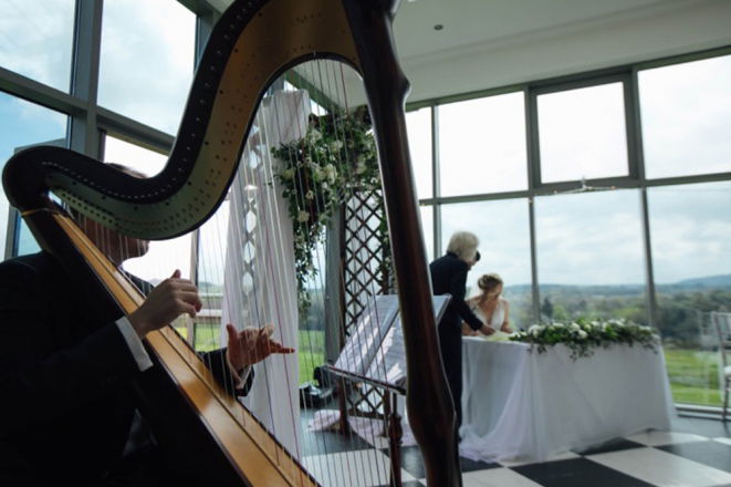 Promo Harpist Royale Harpist London