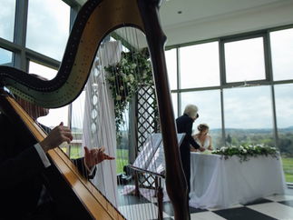 Promo Harpist Royale Harpist London