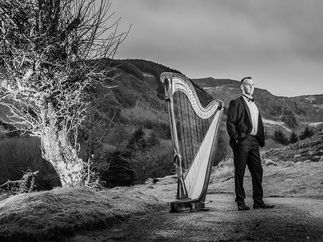 Promo Harpist Royale Harpist London