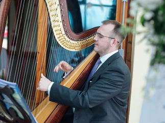Promo Harpist Royale Harpist London