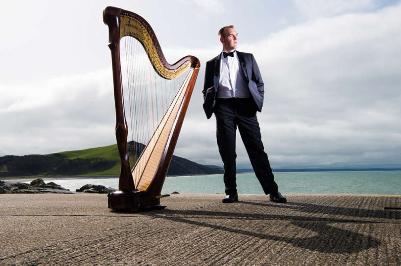artists similar to Harpist Royale
