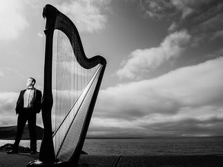 Promo Harpist Royale Harpist London