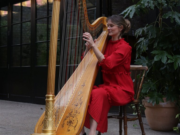artists similar to Harpist Jessica
