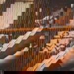 Promo Melissa (Harpist)  London