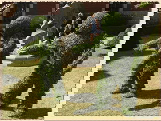 Promo Funky Flower And Hedge People Mix And Mingle Flower and Hedge People London