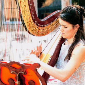 Promo The Cardiff Harpist  Vale of Glamorgan