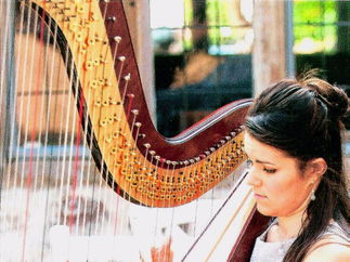 Promo The Cardiff Harpist Harpist Vale of Glamorgan