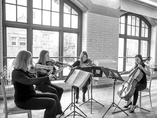 Promo The Midlands String Quartet String Quartet Nottinghamshire