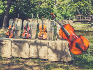Promo The Scottish String Quartet String Quartet Edinburgh