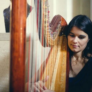 Promo The Cardiff Harpist  Vale of Glamorgan