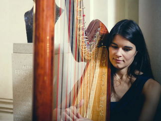 Promo The Cardiff Harpist Harpist Vale of Glamorgan