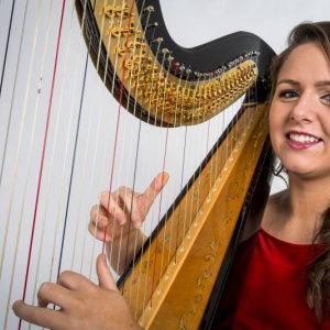 Promo The Function Harpist  Cheshire