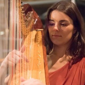 Promo The Cardiff Harpist  Vale of Glamorgan