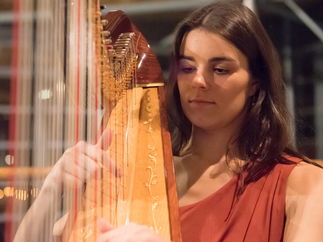 Promo The Cardiff Harpist Harpist Vale of Glamorgan