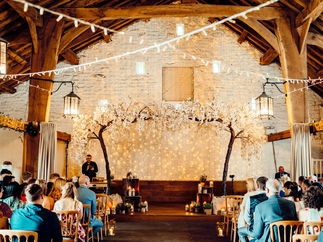 Promo David Mark Singer Guitarist Belfast