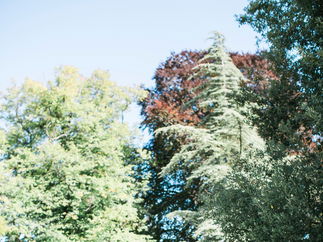 Promo Silk City Stompers Dixieland Jazz Trio London