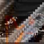 Promo The London Harpist  London