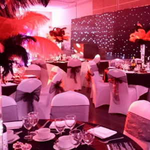 Promo Hollywood Themed Parties  Lincolnshire