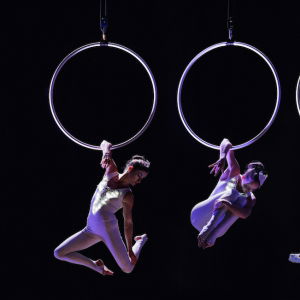 Promo Aerial Hoop Displays  London