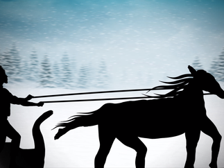 Promo The Christmas Shadow Show Christmas Entertainer Dorset