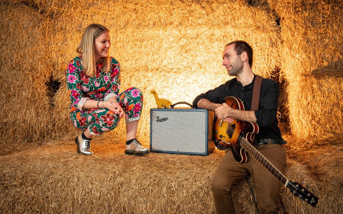 Promo Harmony Sound Acoustic Duo Wrexham