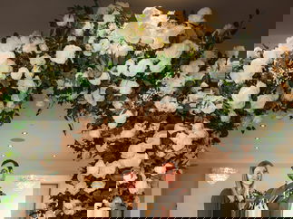 Promo Harmony Sound Acoustic Duo Wrexham