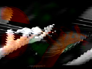 Promo Jasmine Strings String Quartet London