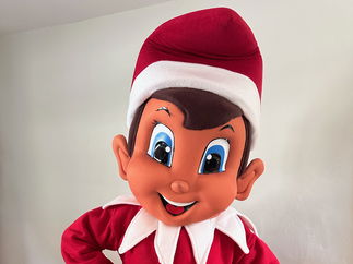 Promo The Christmas Elf Walkabout Character Norfolk