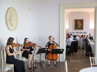 Promo Egeria Strings String Trio Surrey