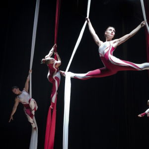 Promo Aerial Silk Displays  London