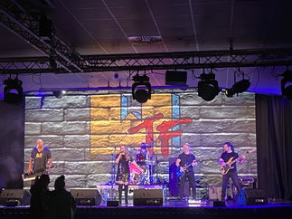 Promo Whats the Function Function Band London