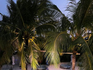 Promo Madeline Sings Jazz Solo Singer With Tracks East Sussex