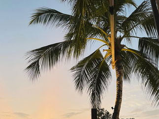 Promo Madeline Sings Jazz Solo Singer With Tracks East Sussex