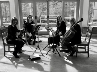Promo Hampshire String Quartet String Quartet Hampshire