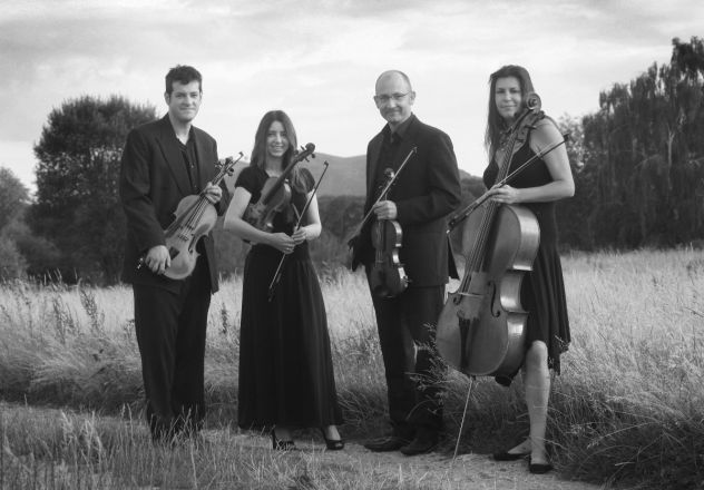 Promo Worcester String Quartet String Quartet Worcestershire