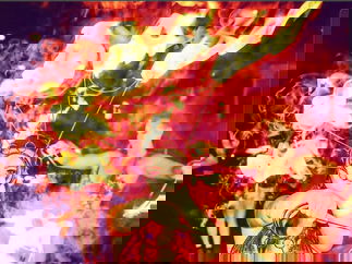 Promo The Power Aerialist Aerialist Wiltshire