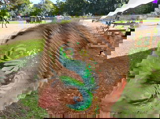 Promo Faces By Shay Face Painter Surrey