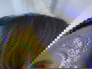 Promo Faces By Shay Face Painter Surrey