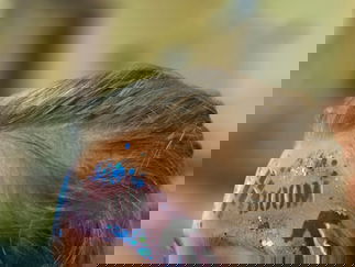 Promo Faces By Shay Face Painter Surrey